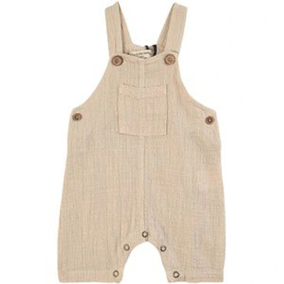 1+ In The Family Babies'  Beige Nacho Overalls