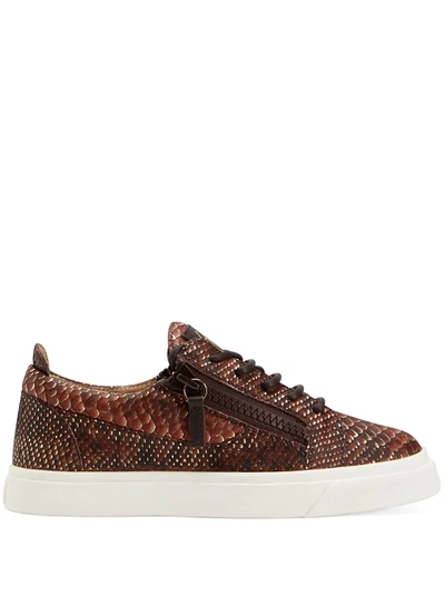 Giuseppe Zanotti Nicki Snakeskin-print Sneakers In Brown