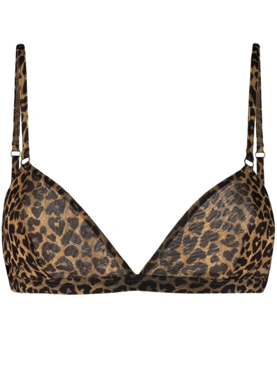 Saint Laurent Leopard-print Triangle Bra In Neutrals ModeSens