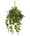 Nearly Natural Mixed Pothos And Boston Artificial Arrangement Fern In Hanging Basket In Green