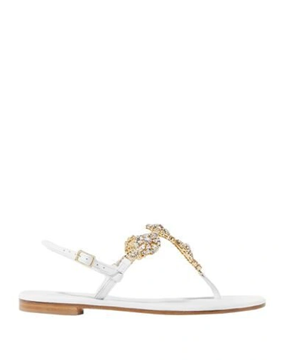 MUSA LONDON TOE STRAP SANDALS 17012354OB 3