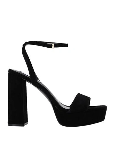 Steve Madden Sandals In Black Suede