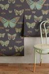 Anthropologie Lepidoptera Wallpaper By  In Grey Size Swatch