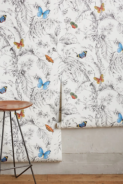 York Wallcoverings Papillon Wallpaper By  In Black Size Swatch In Black