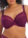 ELOMI CHARLEY SIDE SUPPORT PLUNGE BRA