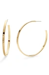 BROOK & YORK MAREN HOOP EARRINGS,BYE1034G