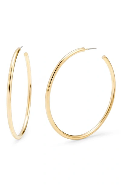 Brook & York Hayley Hoop Earrings In Gold