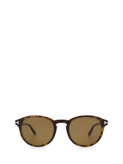 Tom Ford Dante Ft0834 M 52m Round Polarized Sunglasses In Brown