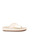Ancient Greek Sandals Ancient Greek Women's Charys Flat Thong Sandals In Off White