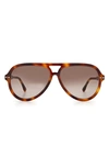 Isabel Marant 59mm Gradient Aviator Sunglasses In Dark Havana/ Brown Gradient