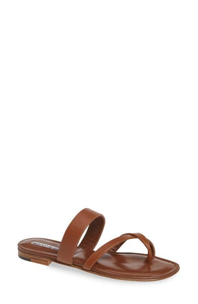 Manolo Blahnik Slide Sandal In Luggage Brown