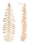 Saachi Feather Linear Drop Earrings In Gold
