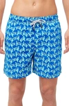 Tom & Teddy Turtle Print Swim Trunks In Blue And Ice Green