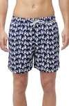 Tom & Teddy Turtle Swim Trunks In Deep Blue And White