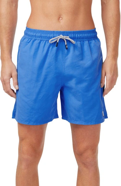 Tom & Teddy Men's Solid Swim Trunks In Electric Blue