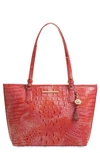 BRAHMIN 'MEDIUM ASHER' LEATHER TOTE,N69151