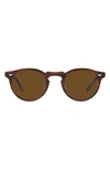 Oliver Peoples Gregory Peck 1962 Ov5456su Sunglasses Amaretto Striped Honey In Brown