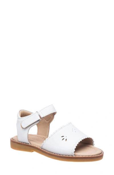 Elephantito Kids' Classic Sandal In Scallop White