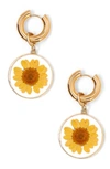 Tess + Tricia Daisy Drop Huggie Hoop Earrings In Yellow