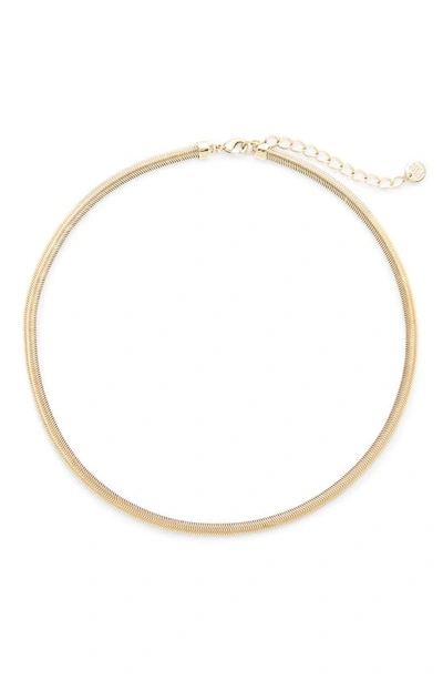 BROOK & YORK BROOK AND YORK IZZY HERRINGBONE CHAIN CHOKER,BYN1199G