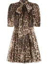 Dolce & Gabbana Leopard-print Pussybow Dress In Brown