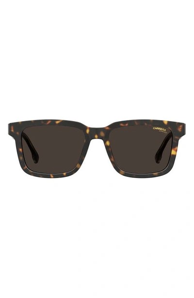 Carrera Eyewear 53mm Chunky Rectangle Sunglasses In Dark Havana/ Brown