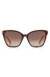 Kate Spade Amiyah 56mm Gradient Polarized Cat Eye Sunglasses In Yellow Havana/ Brown Gradient