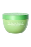 Briogeo Superfoods Avocado And Kiwi Mega Moisture Mask In N,a