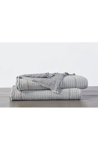 Coyuchi Topanga Blanket In Cool Stripe