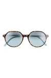 Ray Ban Ray-ban Thalia 53mm Square Sunglasses In Brown