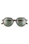 Ray Ban Thalia 53mm Geometric Sunglasses In Havana / Green