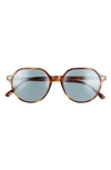 Ray Ban Ray-ban Thalia 53mm Square Sunglasses In Brown