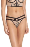 THISTLE & SPIRE THISTLE AND SPIRE VERONA EMBROIDERED MESH THONG,371603