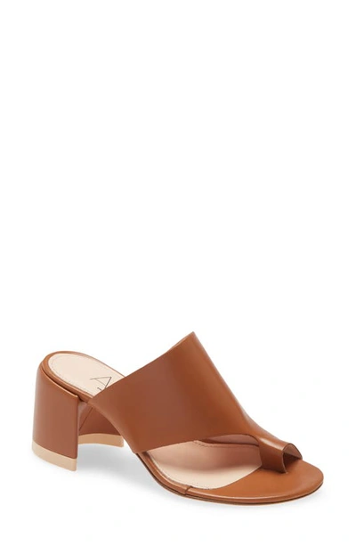 Agl Attilio Giusti Leombruni Moon Toe Loop Sandal In Brandy