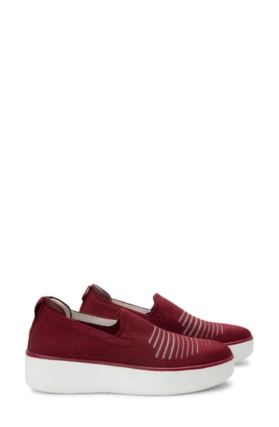 Traq By Alegria Mystiq Peeps Platform Slip-on Trainer In Peeps Wine Fabric