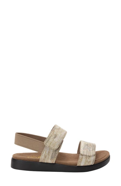 Alegria Leah Slingback Sandal In Sands Leather