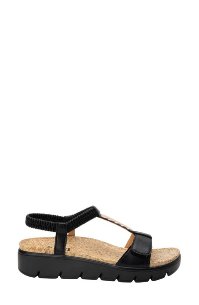 Alegria Harlie T-strap Sandal In Black Leather