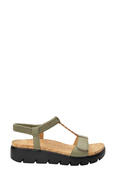 Alegria Harlie T-strap Sandal In Sage Leather