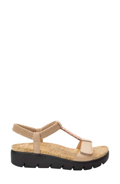 Alegria Harlie T-strap Sandal In Brone Leather