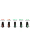 Pure Daily Care Ultrasonic Aromatherapy Diffuser & 10-pack Pure 400ml Essential Oils