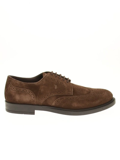 Tod's Bucature Perforated Derby Shoes Tods In Brown