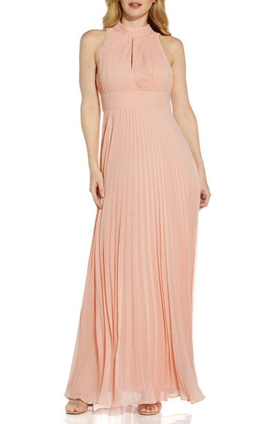 Adrianna Papell Pleated Chiffon A-line Gown In Mellow Blush