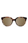 Raen Lily 54mm Polarized Cat Eye Sunglasses In Almond Tortoise/ Alpine Mirror