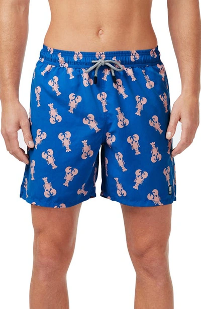 Tom & Teddy Lobster Print Swim Trunk In Mid Blue And Pink