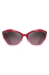 Maui Jim Lotus 56mm Polarizedplus2® Cat Eye Sunglasses In Raspberry Fade/ Maui Rose