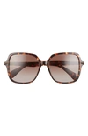 Rag & Bone 55mm Gradient Square Sunglasses In Dark Havana/ Brown Gradient