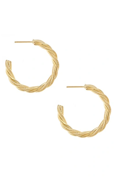 Ettika Twist Hoop Earrings In Gold