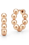 Dana Rebecca Designs Poppy Rae Pebble Hoop Earrings In Rose Gold