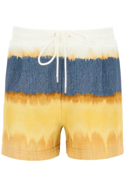 Alberta Ferretti Alberta Ferreti Cotton Shorts In Multi