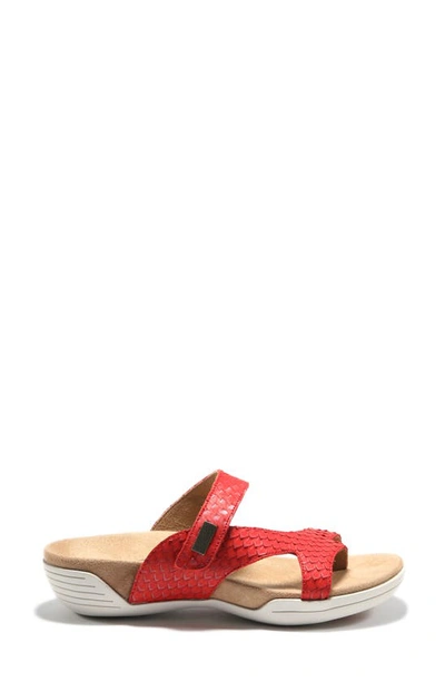 Halsa Footwear Hälsa Darline Asymmetrical Slide Sandal In Red Leather